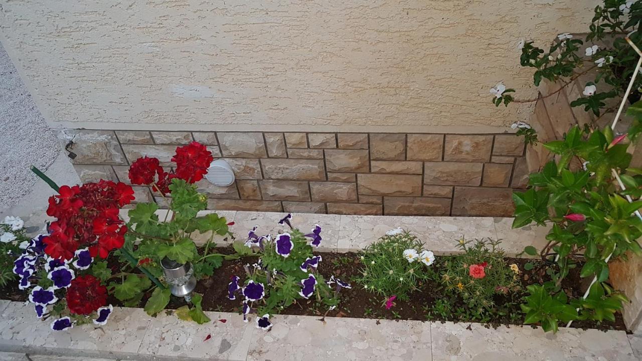 Apartment Sara Novalja Dış mekan fotoğraf