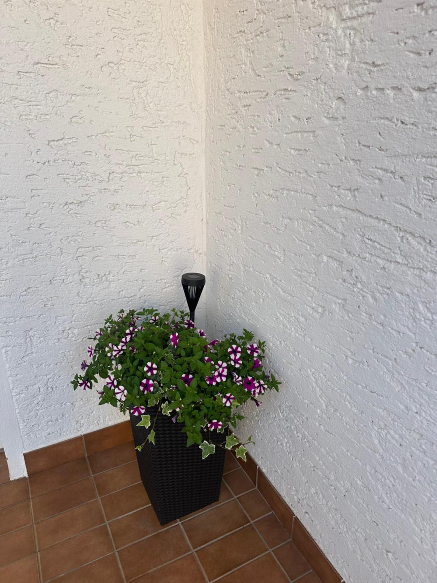 Apartment Sara Novalja Dış mekan fotoğraf